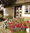 Bauernhaus in Bergenhusen